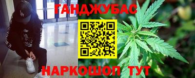 крисы Севастополь